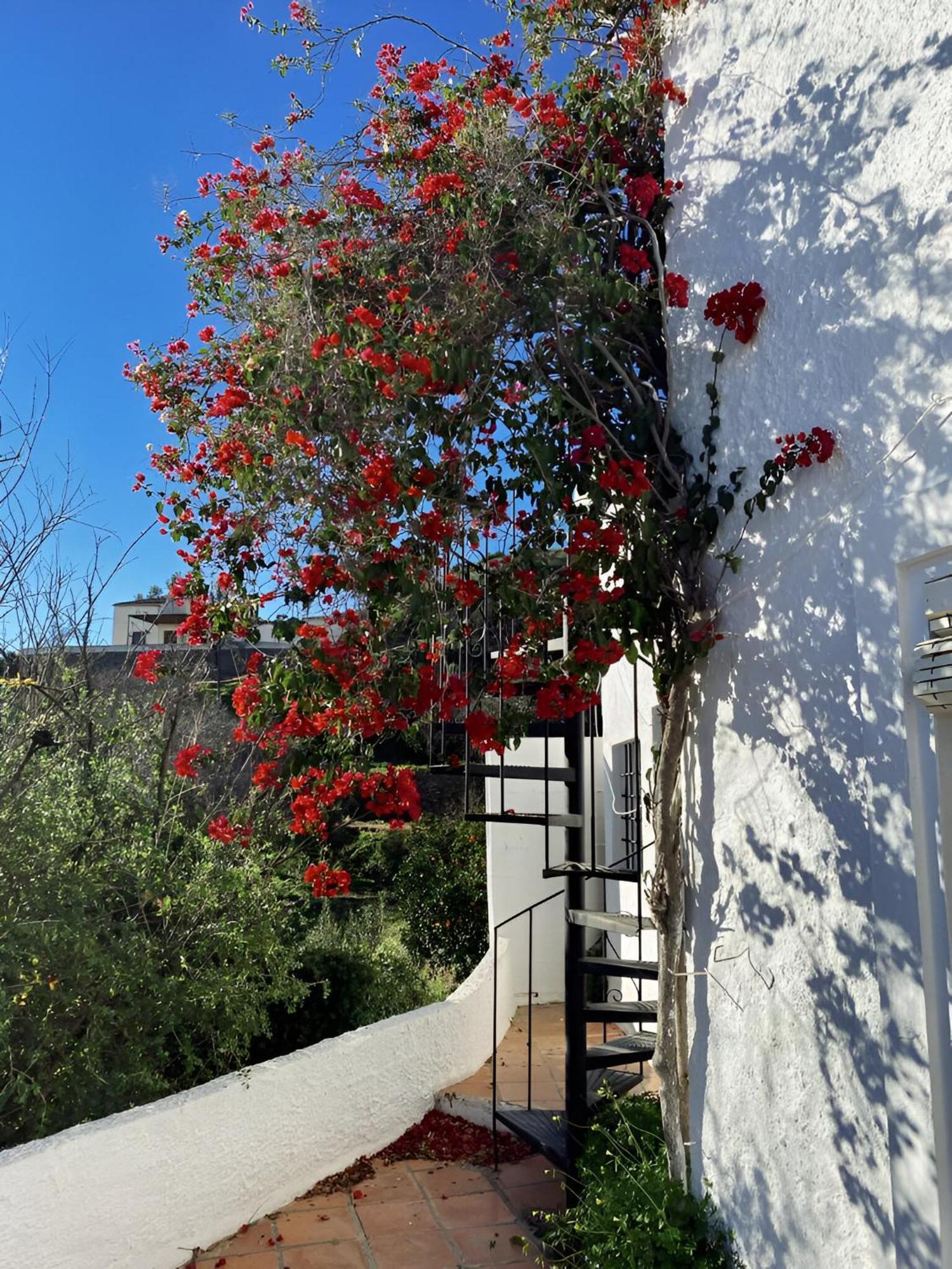 Cortijo De La Fuente Con Vistas Impresionantes Y Playas A 20 Minutos Villa Bedar Exterior photo